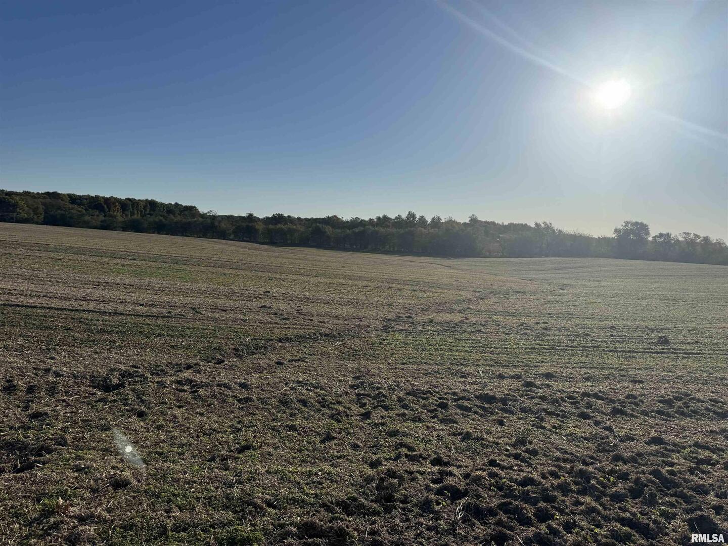 0 County Road 2100 N County Road Cisne, IL 62823 - Photo 20 of 20