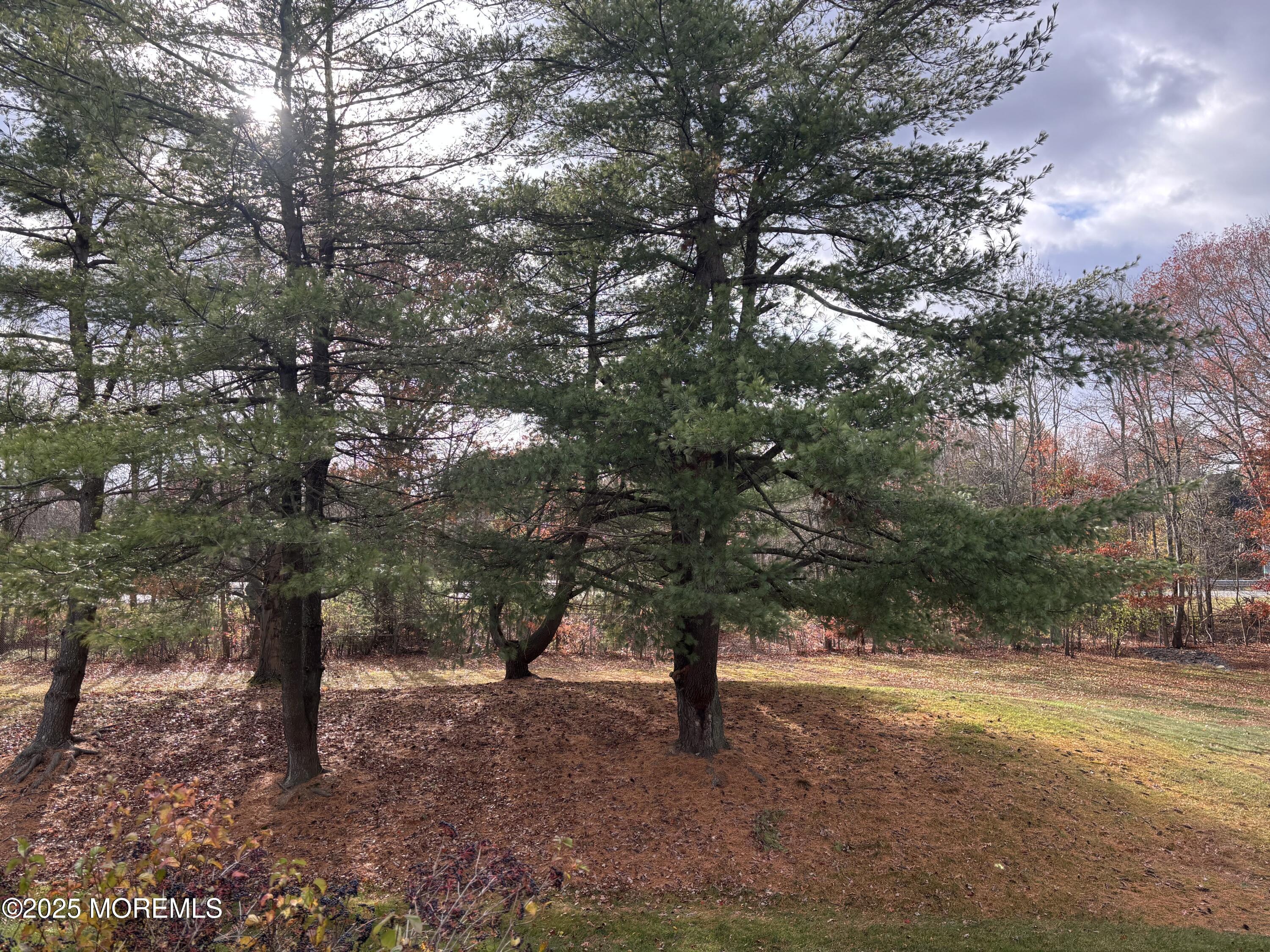 481 Hawthorne Place Morganville, NJ 07751 - Photo 14 of 36 IMG_8892