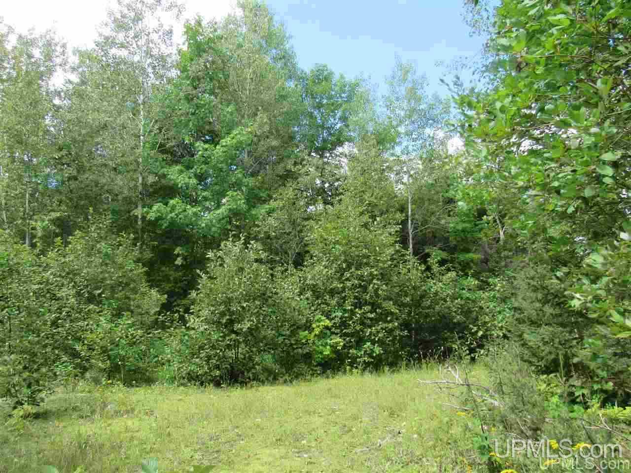 Tbd Tbd Off Us41 Lanse, MI 49946 - Photo 2 of 17