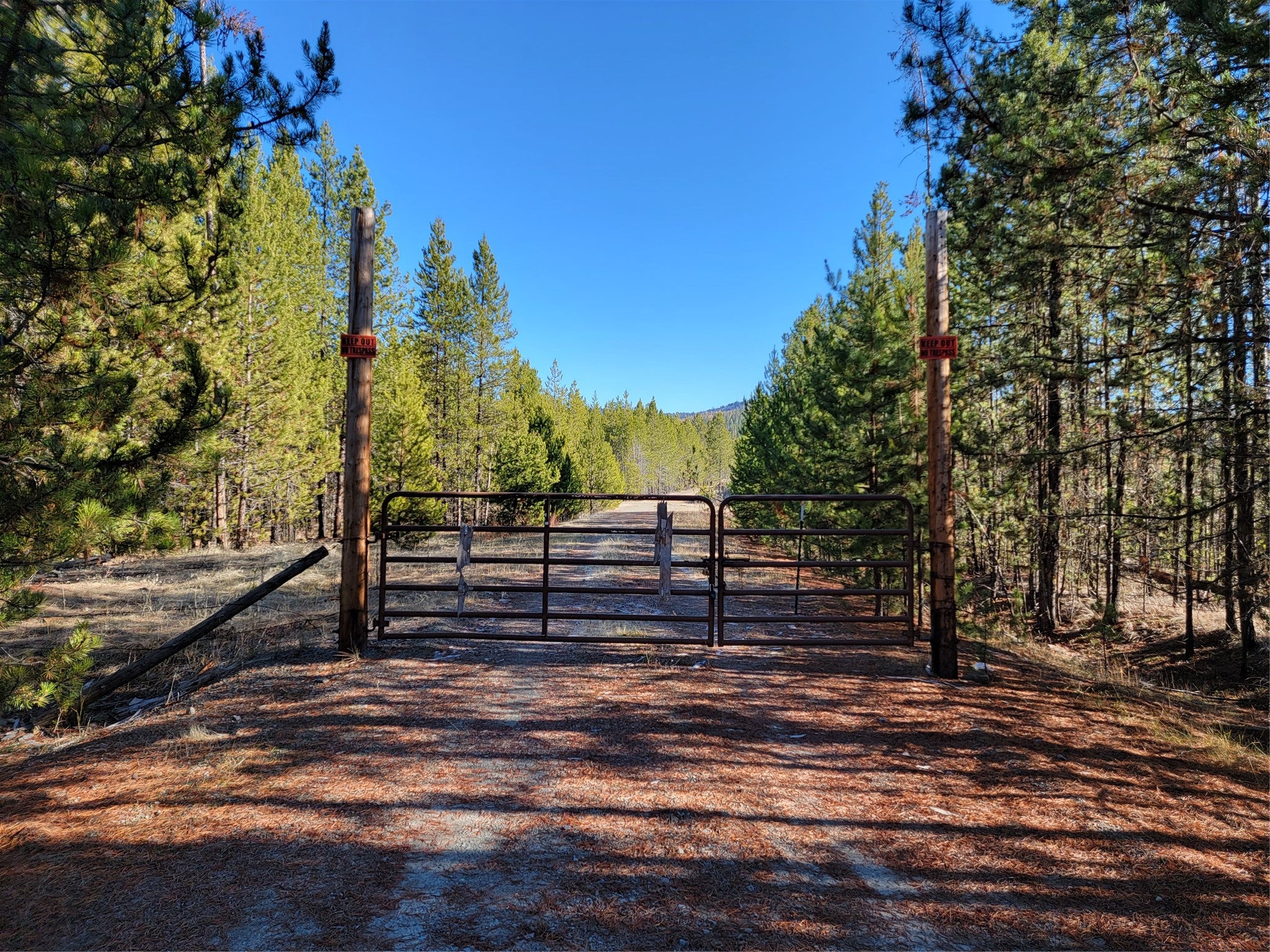 360 Discovery Loop Marion, MT 59925 - Photo 5 of 10 Gallery Image 5