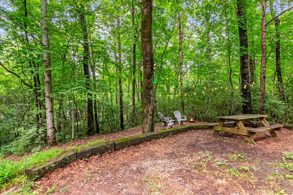 56 Johnson Drive Blue Ridge, GA 30513 - Photo 37 of 37 Gallery Image 37
