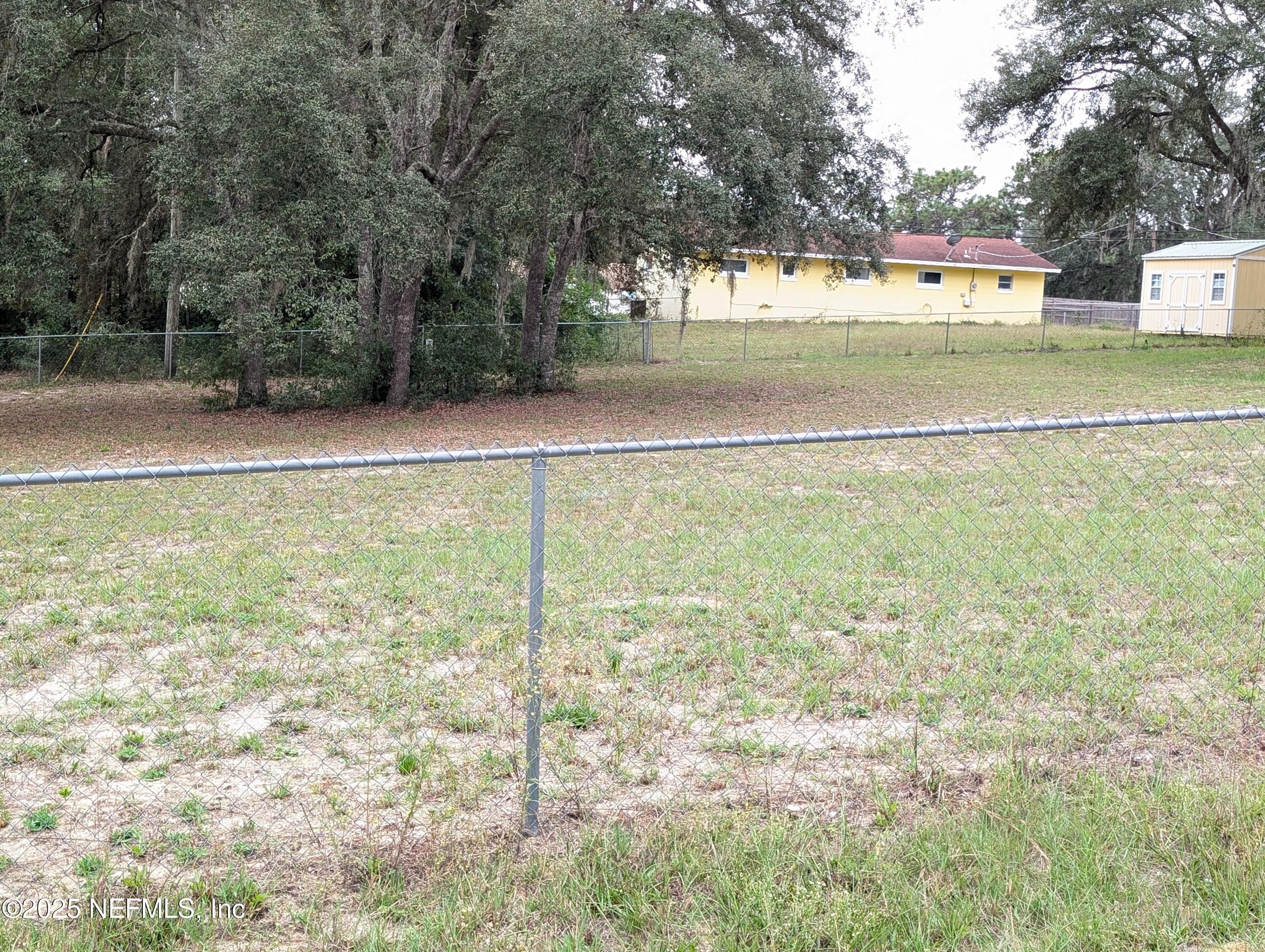 211 1st Way Interlachen, FL 32148 - Photo 2 of 5 a view of yard with trees