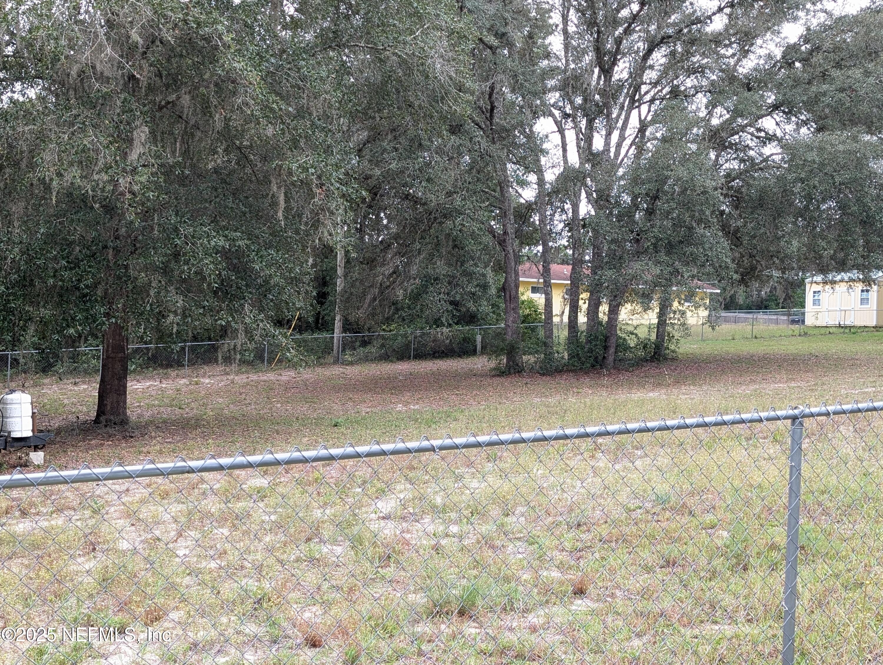 211 1st Way Interlachen, FL 32148 - Photo 4 of 5 a view of backyard with green space
