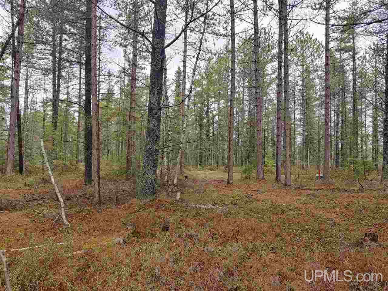 Lot 12 Rice Landing Rd Lake Lake Linden, MI 49945 - Photo 24 of 43