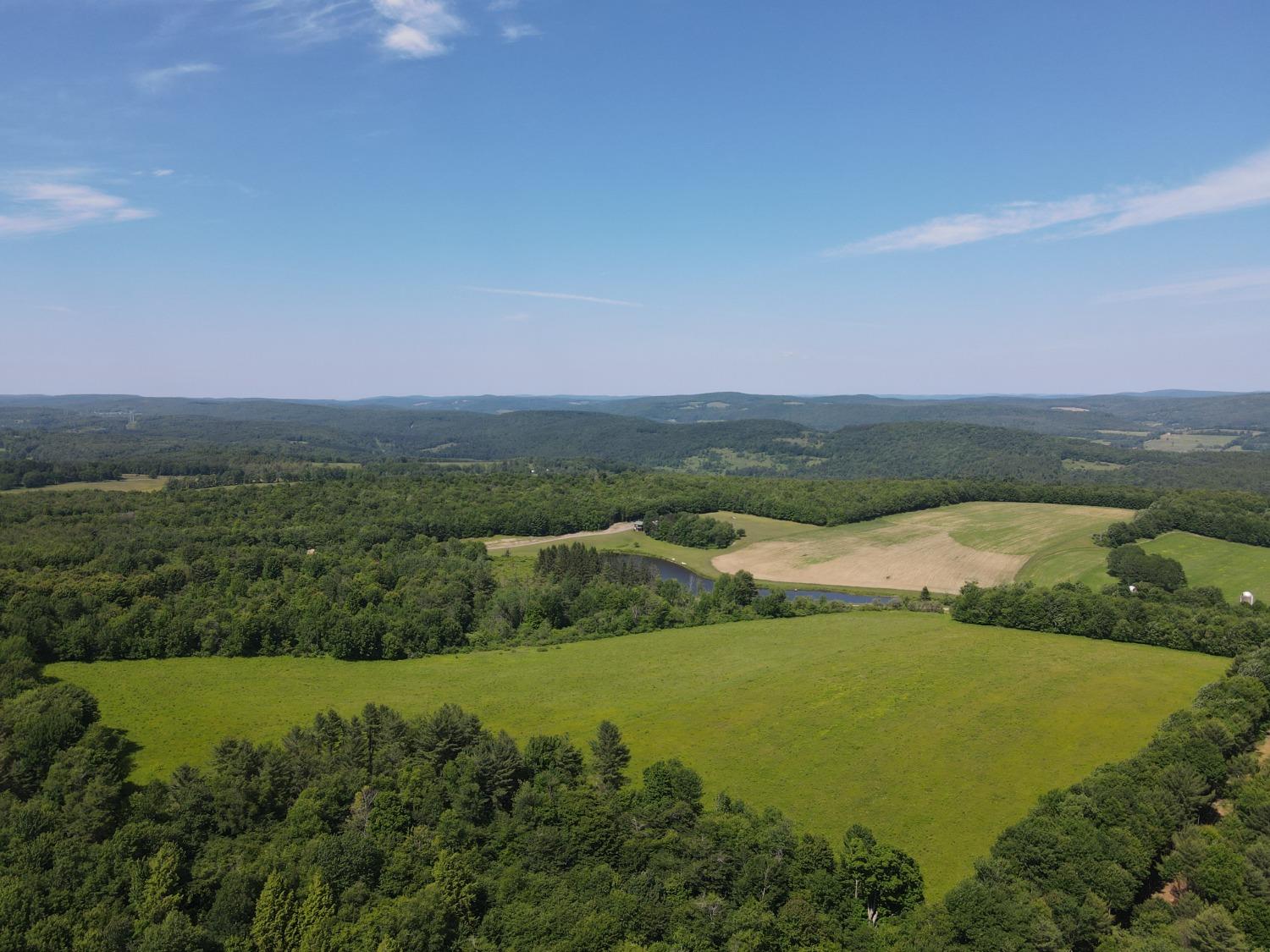0 Jacobsen Road Mount Vision, NY 13810 - Photo 1 of 1