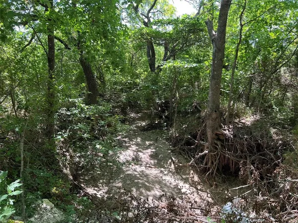 a view of a tree