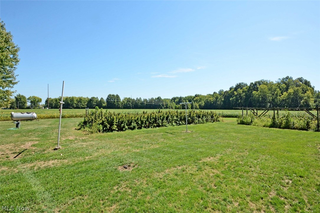 11547 Root Road Columbia Station, OH 44028 - Photo 34 of 35 Gallery Image 34
