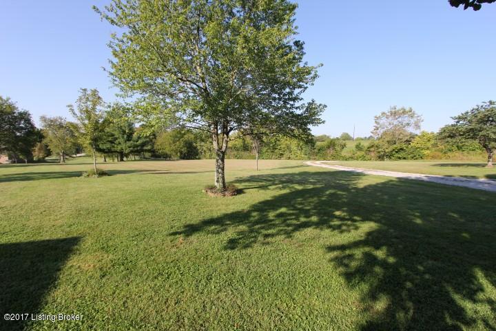 1125 Cole Road Harrodsburg, KY 40330 - Photo 19 of 47 Front Yard