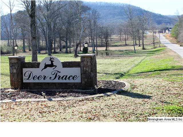 Mount Eagle Lane, Unit 2 Weaver, AL 36277 - Photo 5 of 26