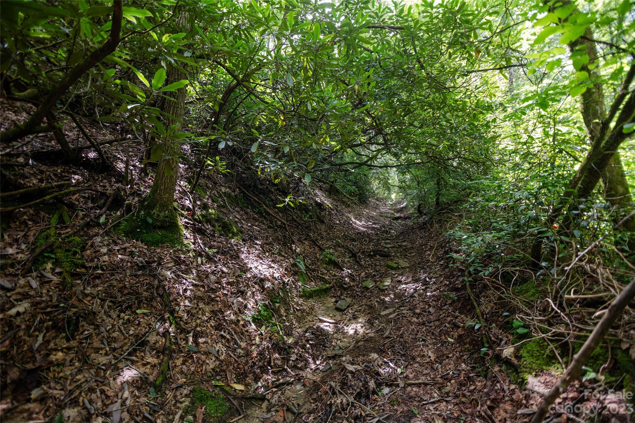 Tbd Nancy Mountain Road Rosman, NC 28772 - Photo 21 of 44 Gallery Image 21