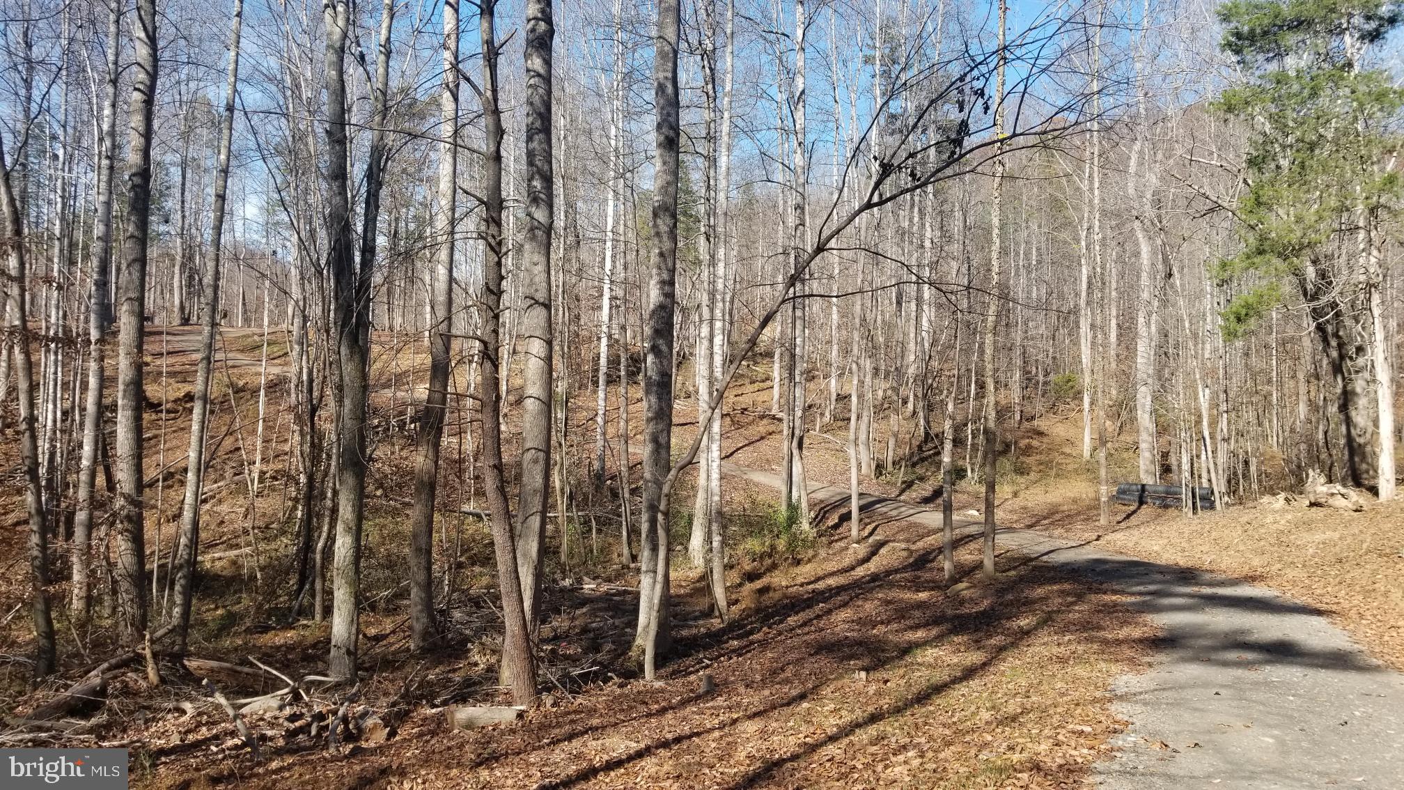 14-a Round Hill Road Boston, VA 22713 - Photo 8 of 14