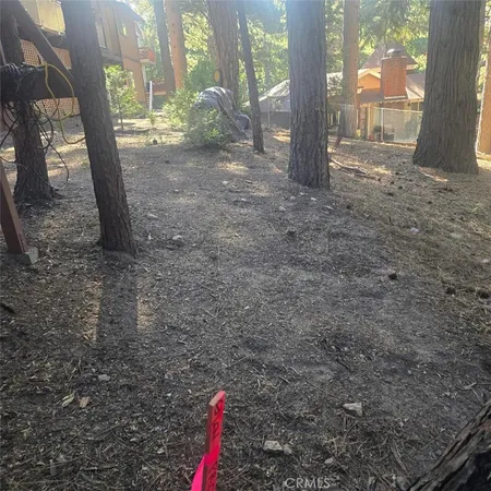 a view of a yard with a tree