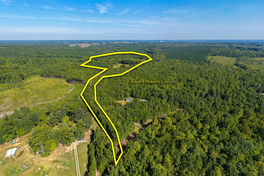 Lees Mill Road, Unit 3 Chase City, VA 23924 - Photo 64 of 64 Gallery Image 64