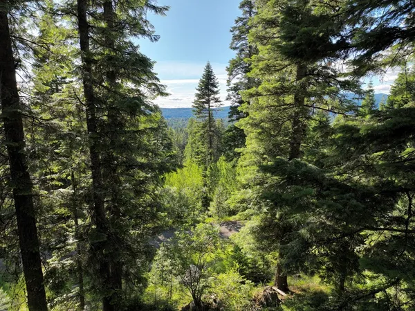 $300,000 | 1615 Majestic View Drive, Unit 49, McCall, ID 83638