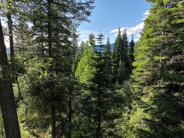 $300,000 | 1615 Majestic View Drive, Unit 49, McCall, ID 83638