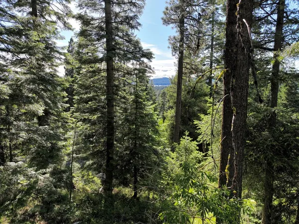 $300,000 | 1615 Majestic View Drive, Unit 49, McCall, ID 83638
