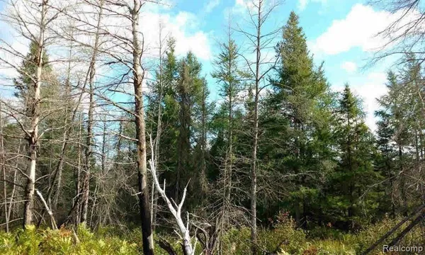$105,000 | 23305 Duck Lake Trail, Newberry, MI 49868