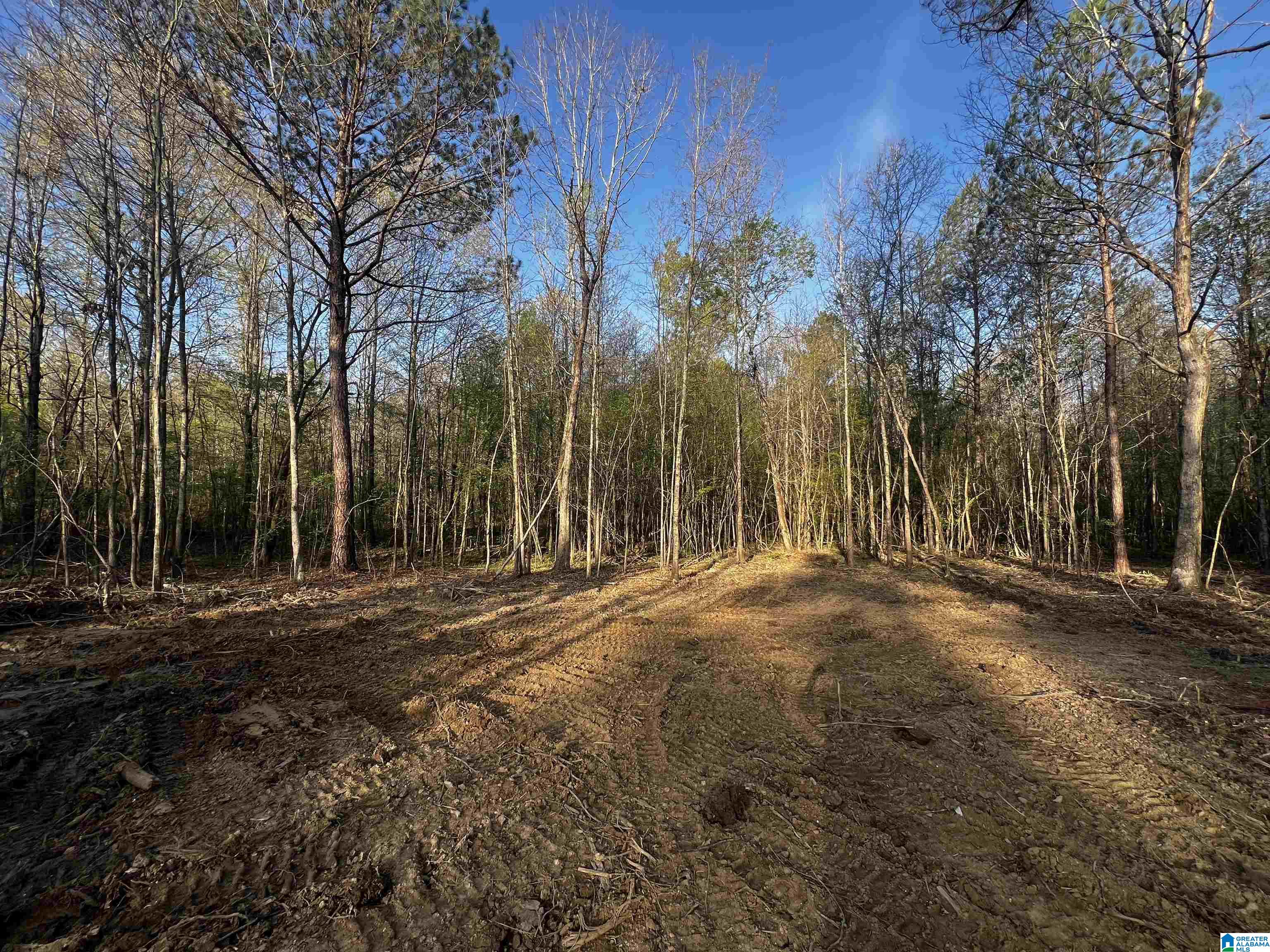 0 Francis Mill Road, Unit TRACT #1 Ohatchee, AL 36271 - Photo 2 of 4