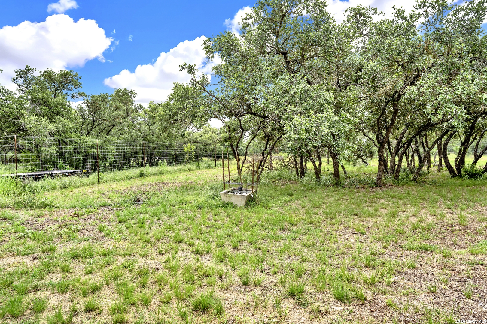 0 Fm 1796 D'Hanis, TX 78850 - Photo 22 of 26 a backyard of a house with lots of green space
