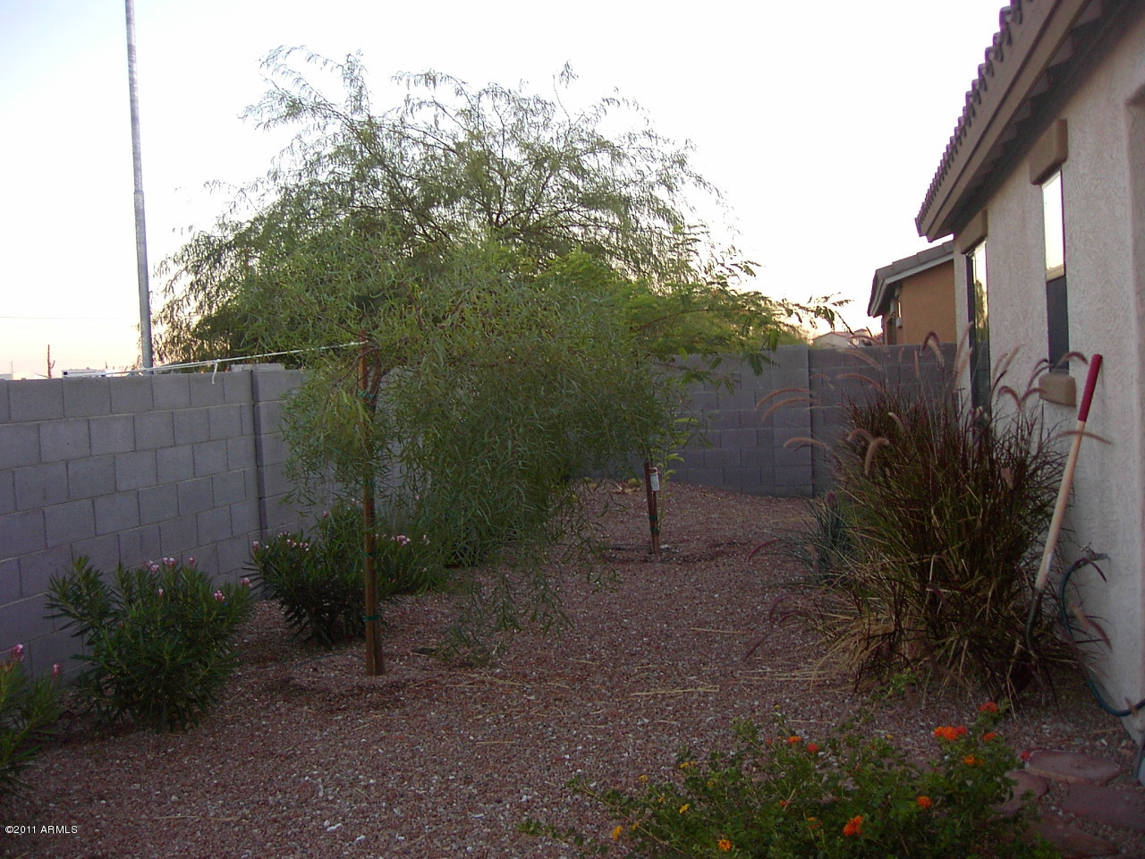2661 South Conestoga Road Apache Junction, AZ 85119 - Photo 3 of 14 Rear Yard