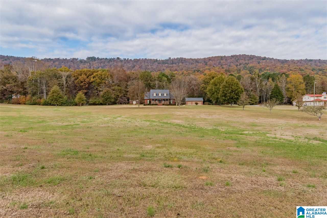 2965 Crawford Cove Road Springville, AL 35146 - Photo 3 of 50