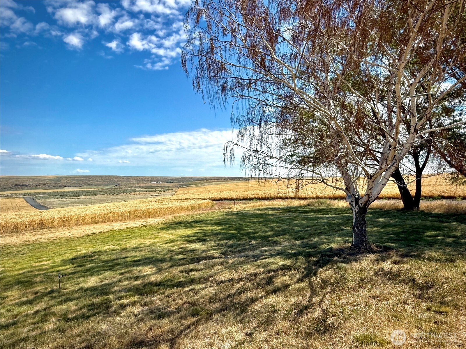 7603 Coyote Heights Road North Odessa, WA 99159 - Photo 8 of 37