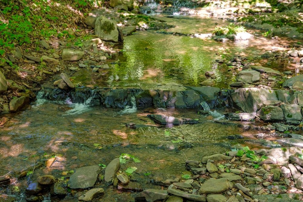 20982 Bennett Run Road Bergton, VA 22811 - Photo 47 of 54 a view of a garden
