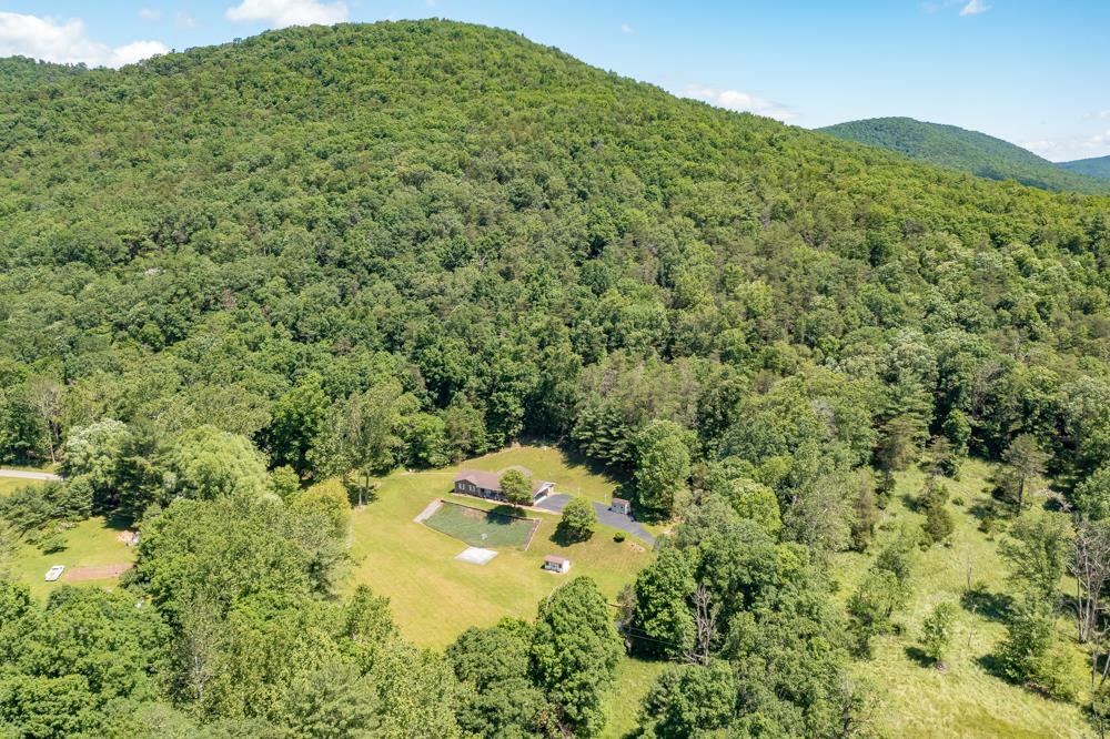 20982 Bennett Run Road Bergton, VA 22811 - Photo 51 of 54 a view of a big yard with lots of bushes
