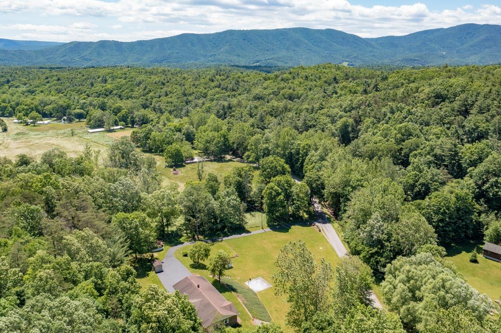 20982 Bennett Run Road Bergton, VA 22811 - Photo 53 of 54 a view of a forest with a street