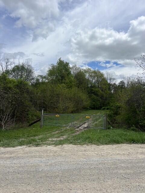 Parcel A West County Line Road Greenville, MI 48838 - Photo 10 of 14 P10