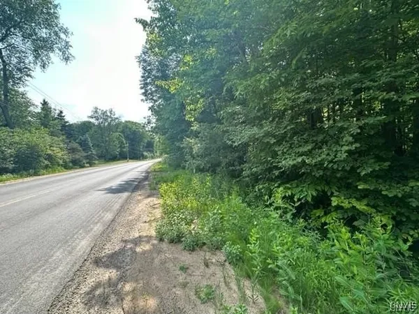 $19,900 | 0 Brantingham Road, Greig, NY 13345