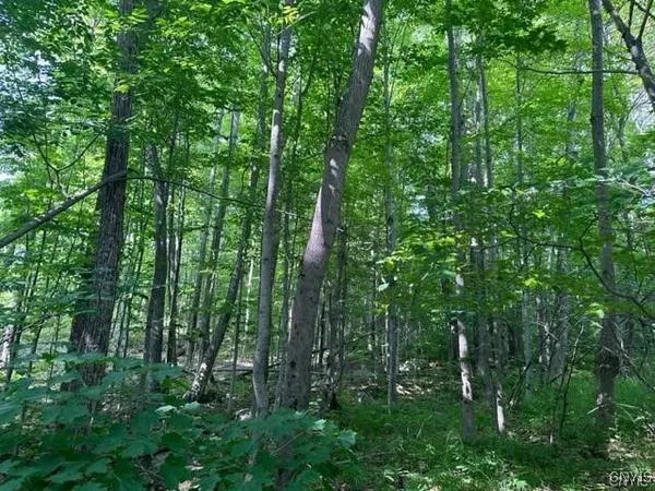 $19,900 | 0 Brantingham Road, Greig, NY 13345