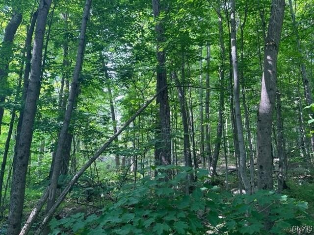 0 Brantingham Road Greig, NY 13345 - Photo 3 of 6