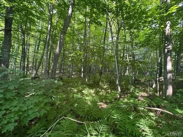 $19,900 | 0 Brantingham Road, Greig, NY 13345