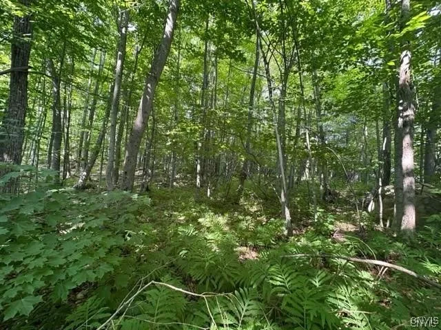 $19,900 | 0 Brantingham Road, Greig, NY 13345