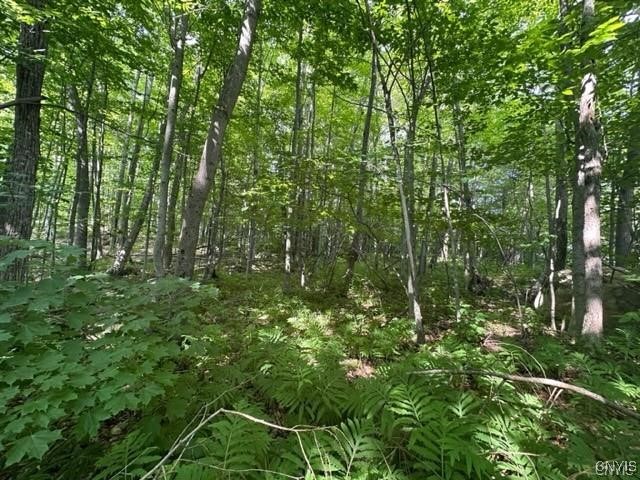 0 Brantingham Road Greig, NY 13345 - Photo 4 of 6