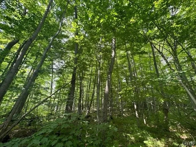 $19,900 | 0 Brantingham Road, Greig, NY 13345