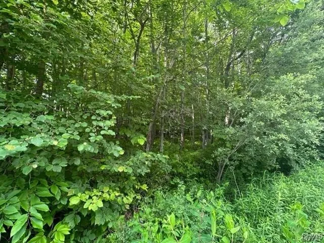 $19,900 | 0 Brantingham Road, Greig, NY 13345