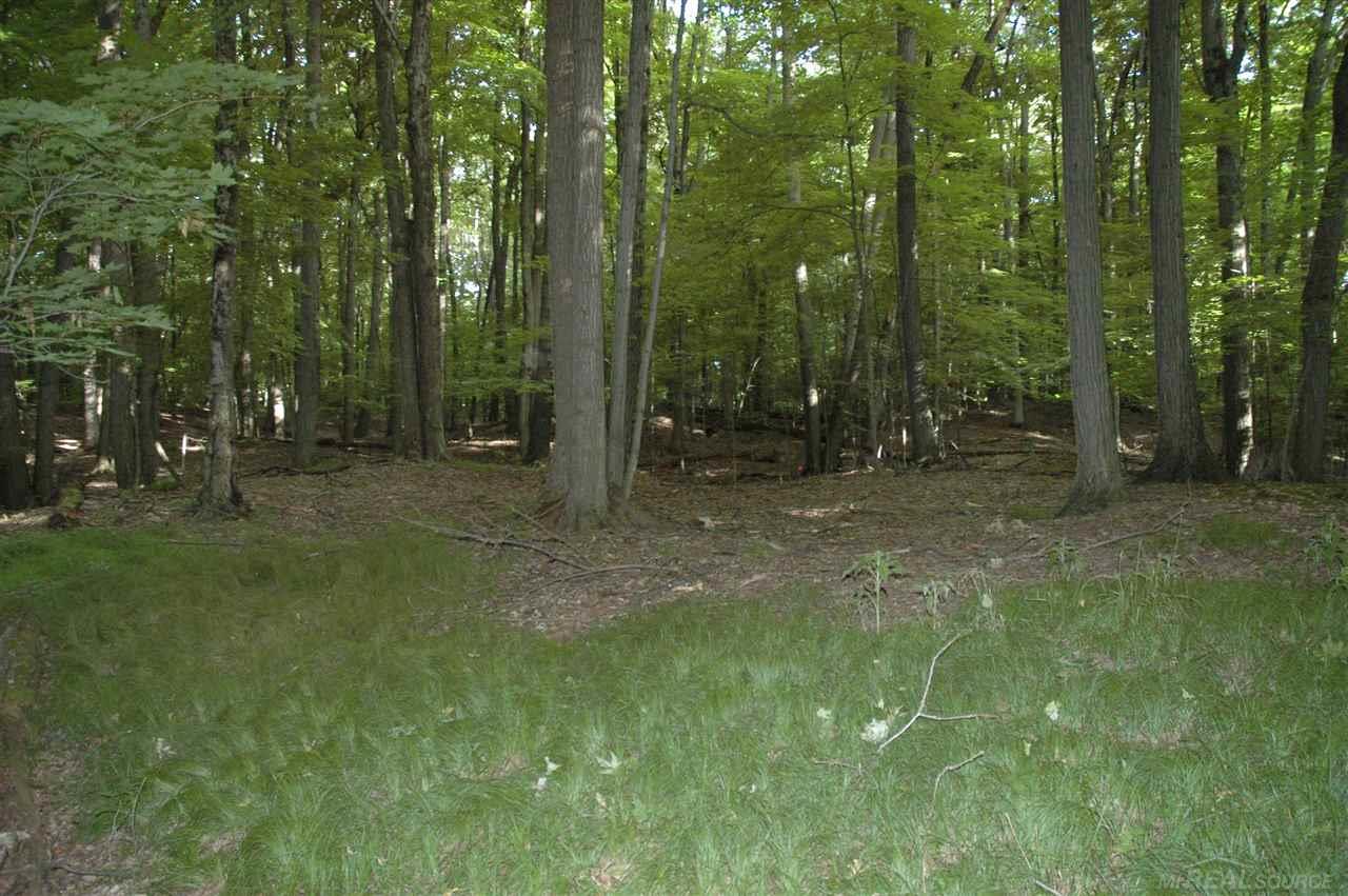 4920 Hosner Road Metamora, MI 48455 - Photo 5 of 14