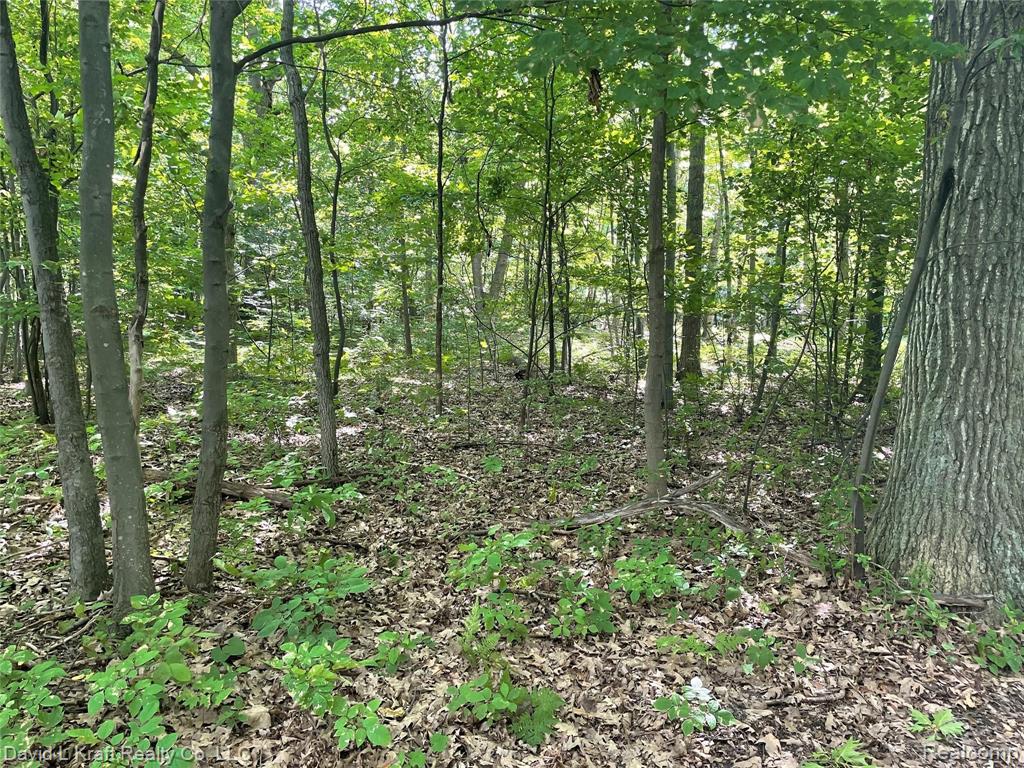 7533 Port Austin Road Pigeon, MI 48755 - Photo 2 of 7