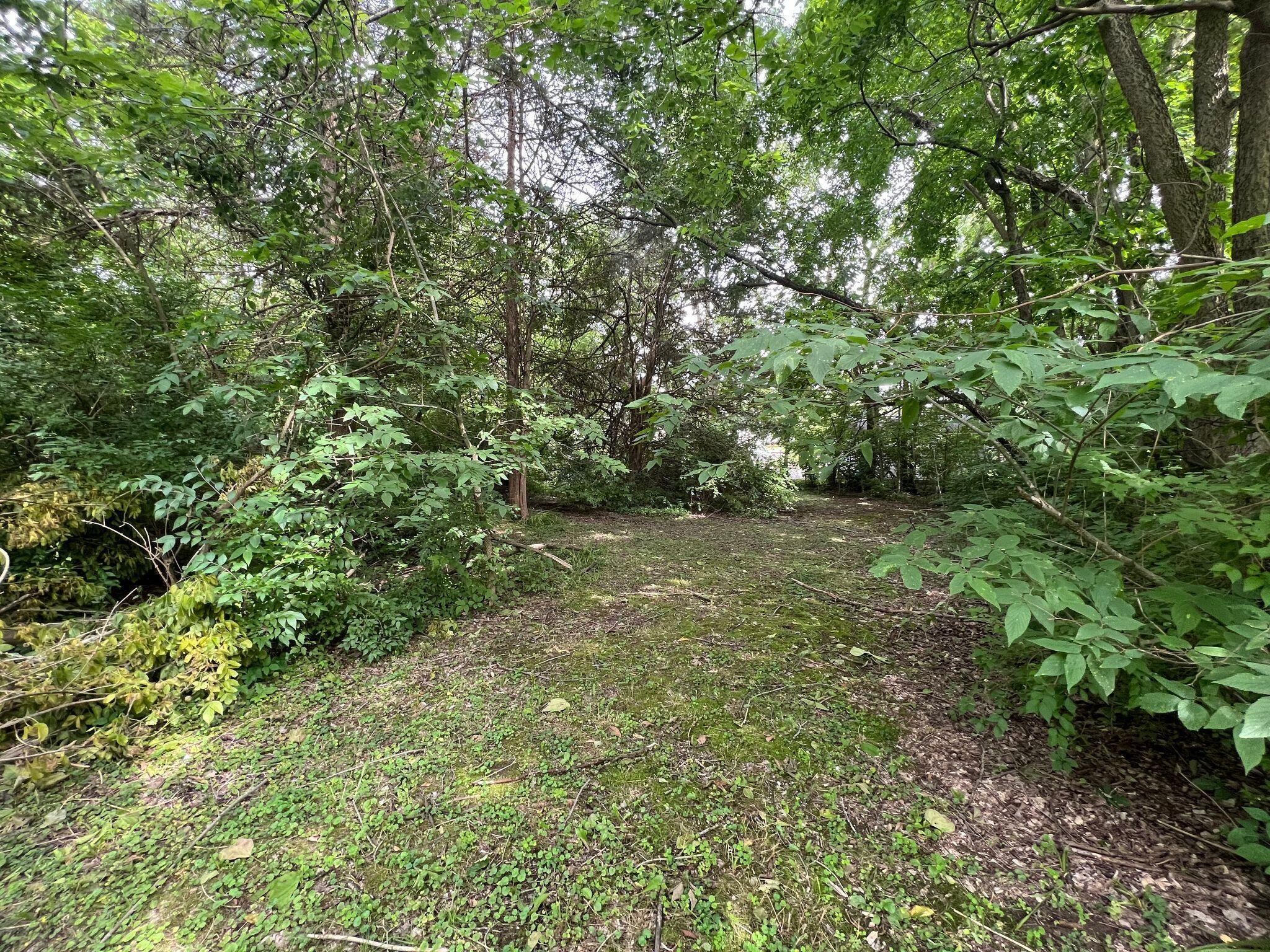 347 East High Street Ostrander, OH 43061 - Photo 21 of 41 437023567_382382691466534_95381959134651