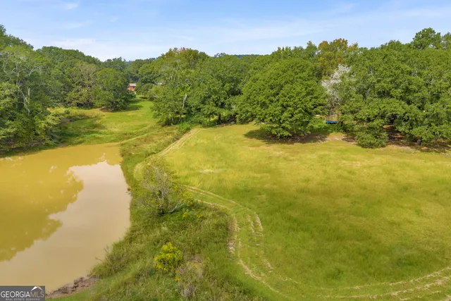 a view of a big yard with large trees