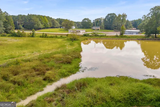 a view of a swimming pool and trees in the background