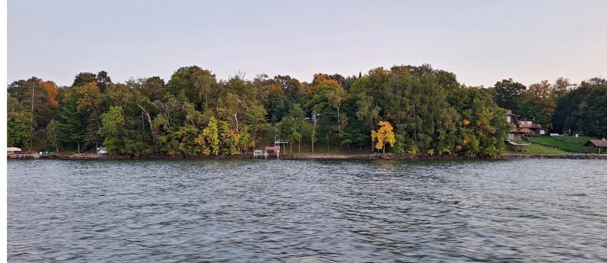 7524 Blue Water Beach Road Northwest Walker, MN 56484 - Photo 3 of 3