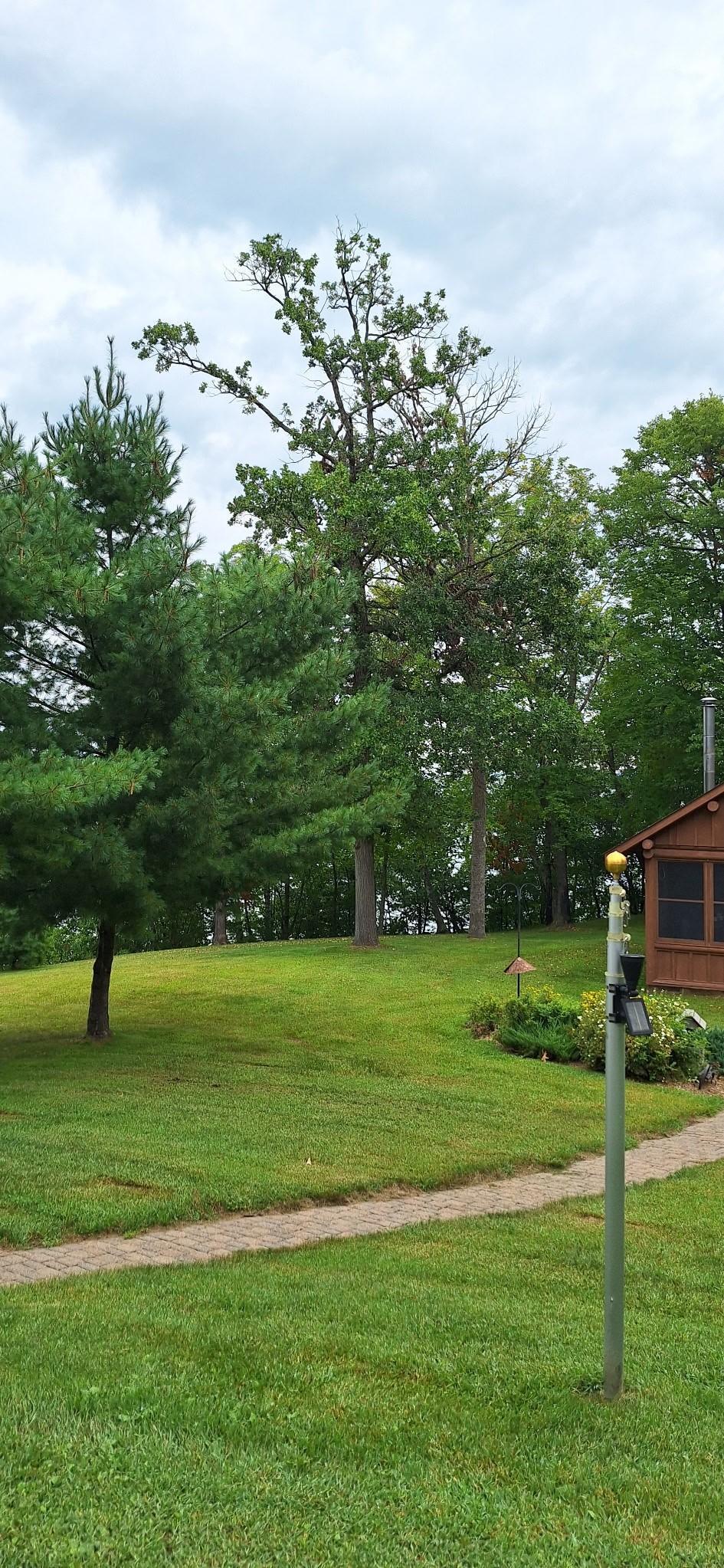 7524 Blue Water Beach Road Northwest Walker, MN 56484 - Photo 6 of 64