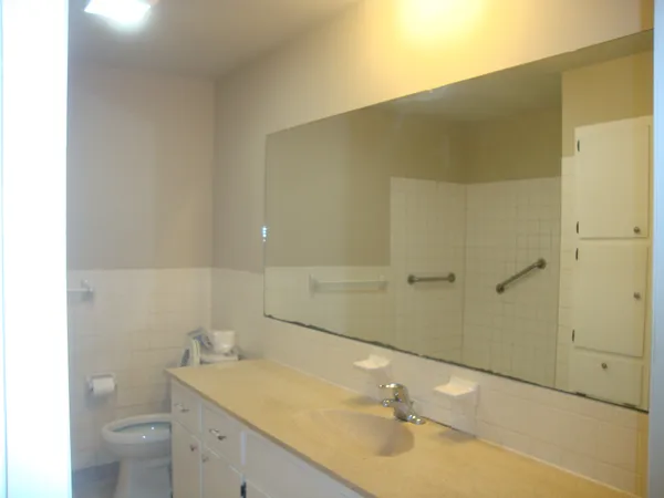 a bathroom with a sink and a toilet
