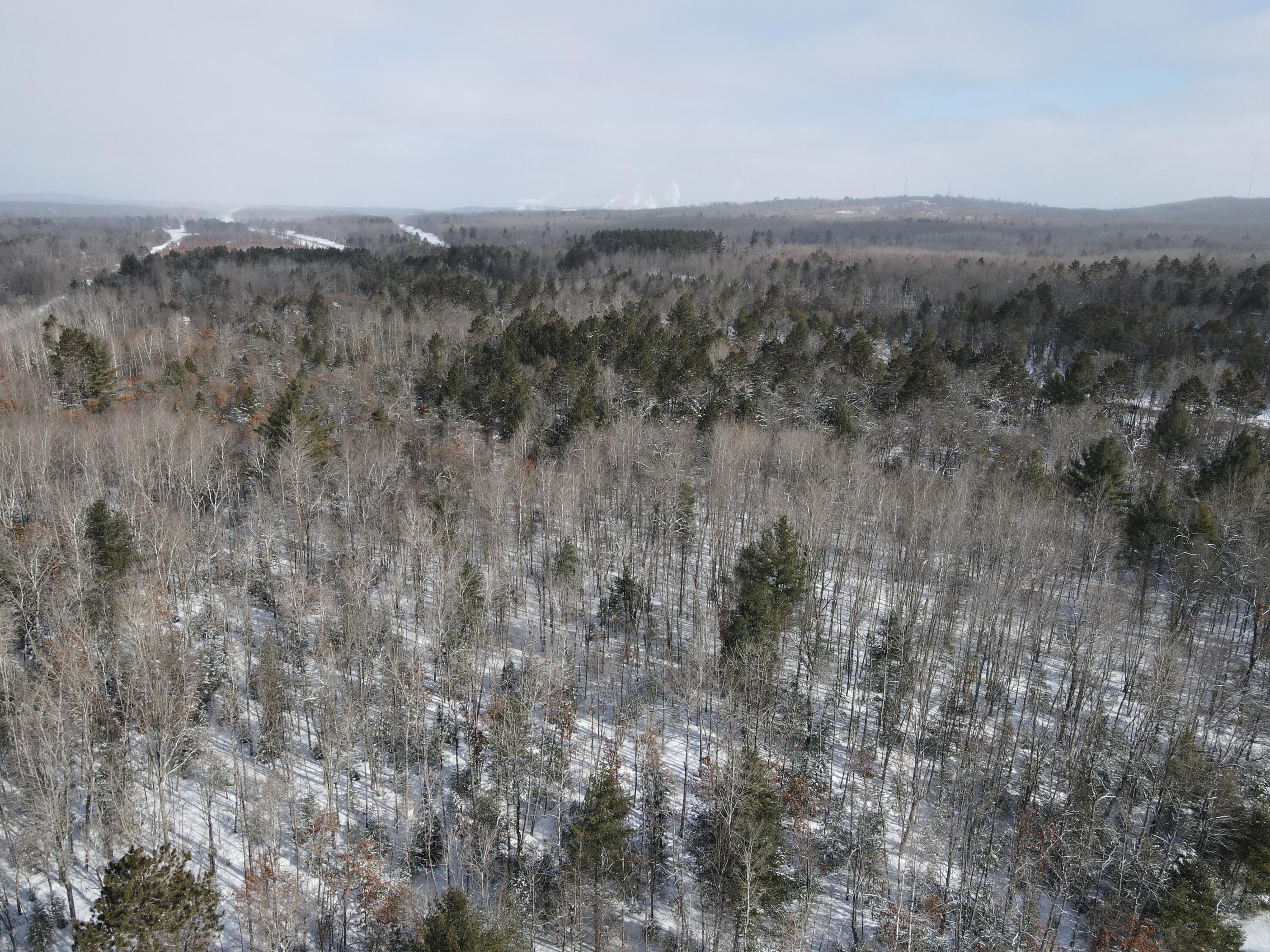 -vl South Grayling Road Grayling, MI 49738 - Photo 13 of 26 DJI_0114