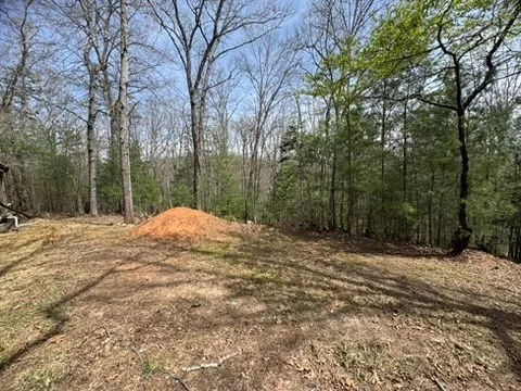 a view of a backyard of a house