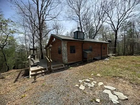 a view of backyard with a large tree