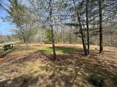 a view of yard with trees